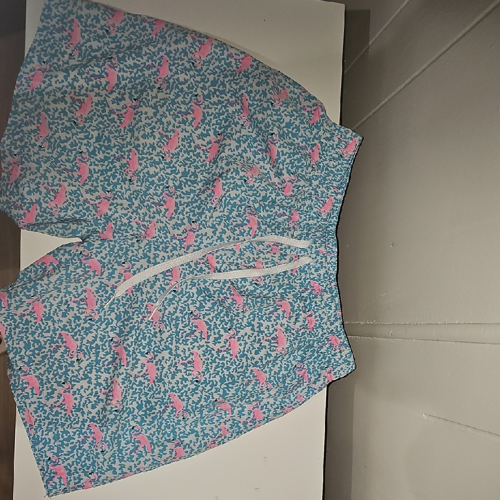 Chubbies Blue and Pink Swim Shorts